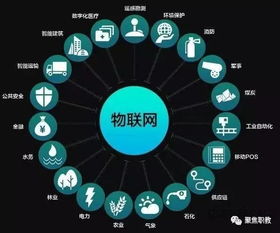 未来10年，职校生在网络技术服务领域的广阔前景与发展路径